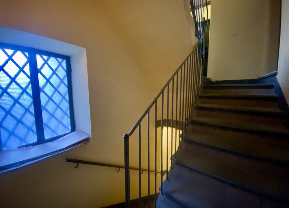 IMG_9263